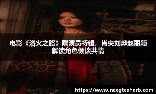 壹号娱乐官网