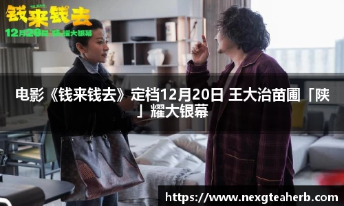 电影《钱来钱去》定档12月20日 王大治苗圃「陕」耀大银幕