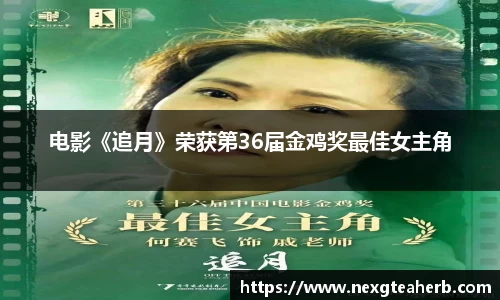 壹号娱乐官网